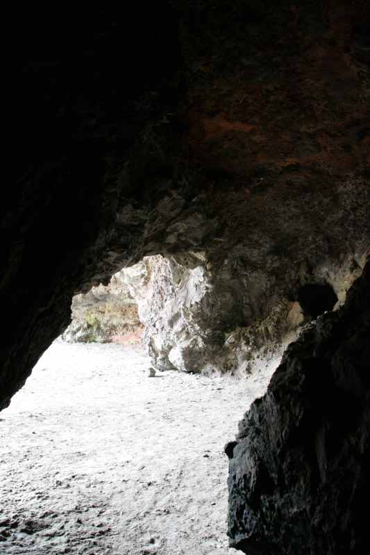 Nieuw-Zeeland 2011 - 2121